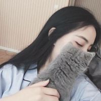 女头像ins高级质感不露脸抱猫