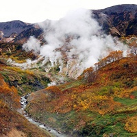 大自然风景头像