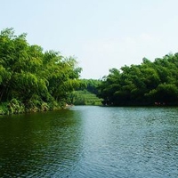 头像大自然风景